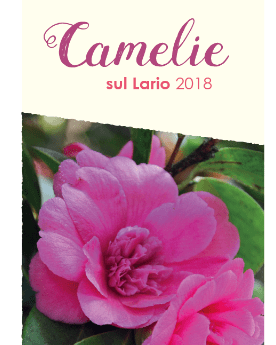 camelie sul lario