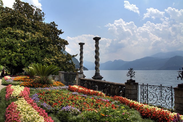 Camelie on lake como